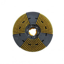 Base Achulada con Alza 19 pulg Castor
